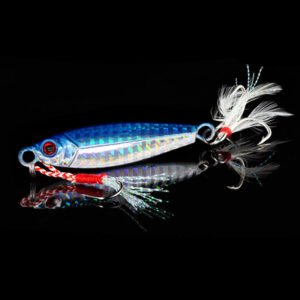 Leurre Jigs 7-30g – Pêche en mer et eau douce